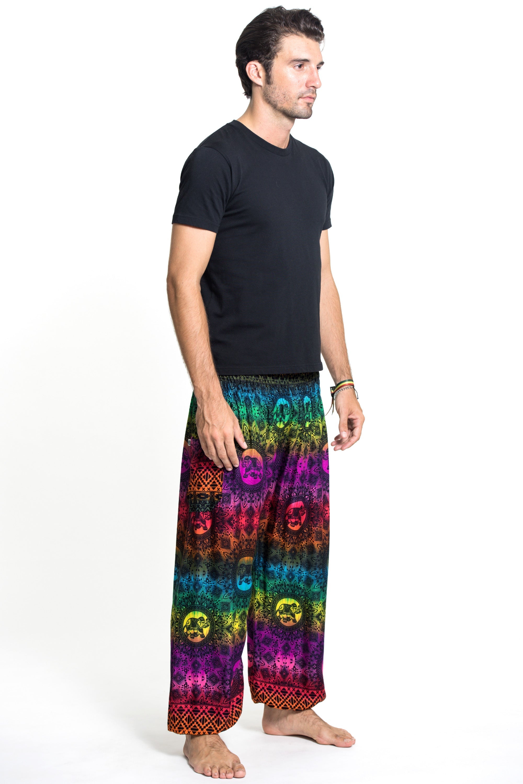Rainbow Elephant Men's Elephant Pants in Purple
