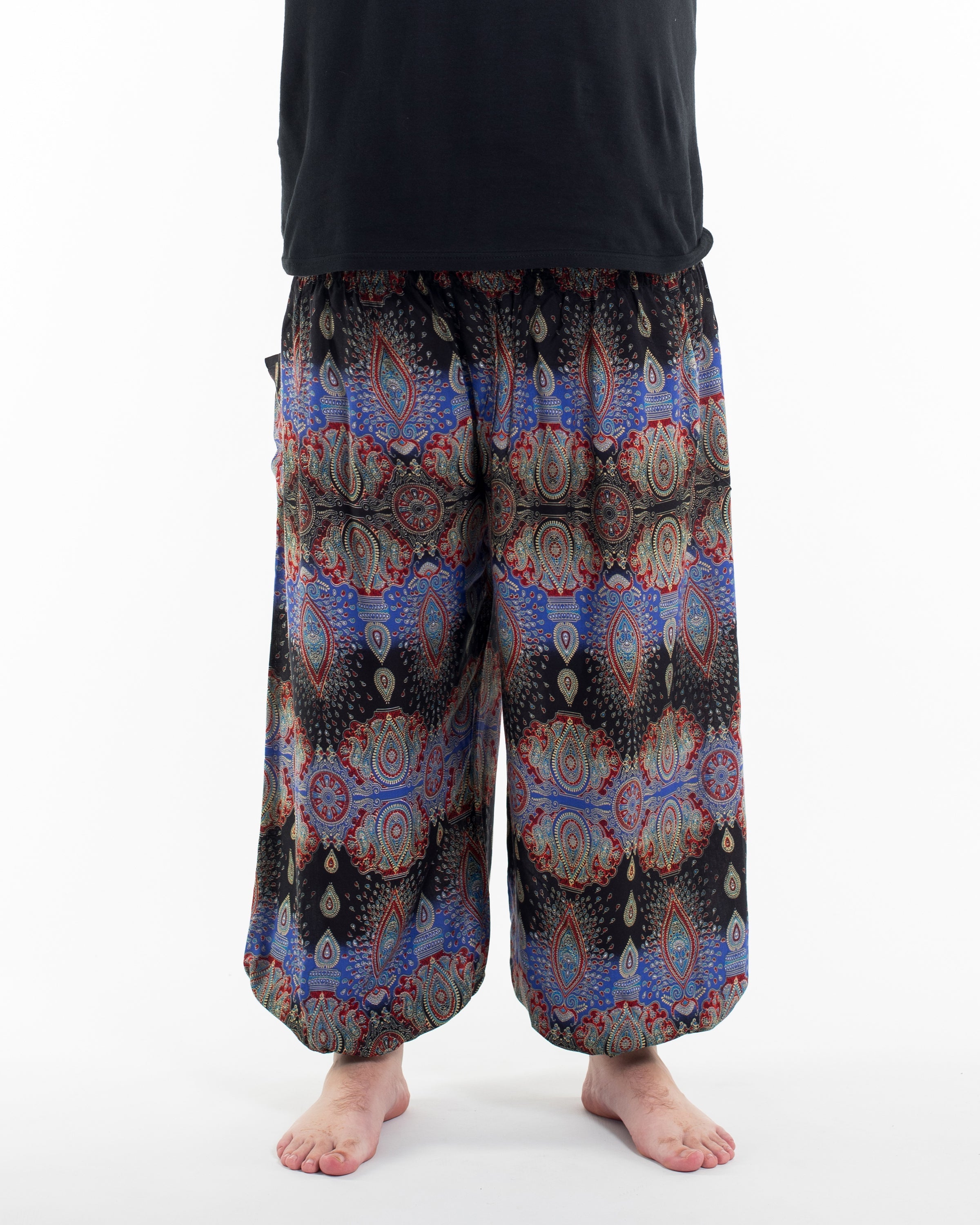 Plus Size Paisley Men's Harem Pants in Blue