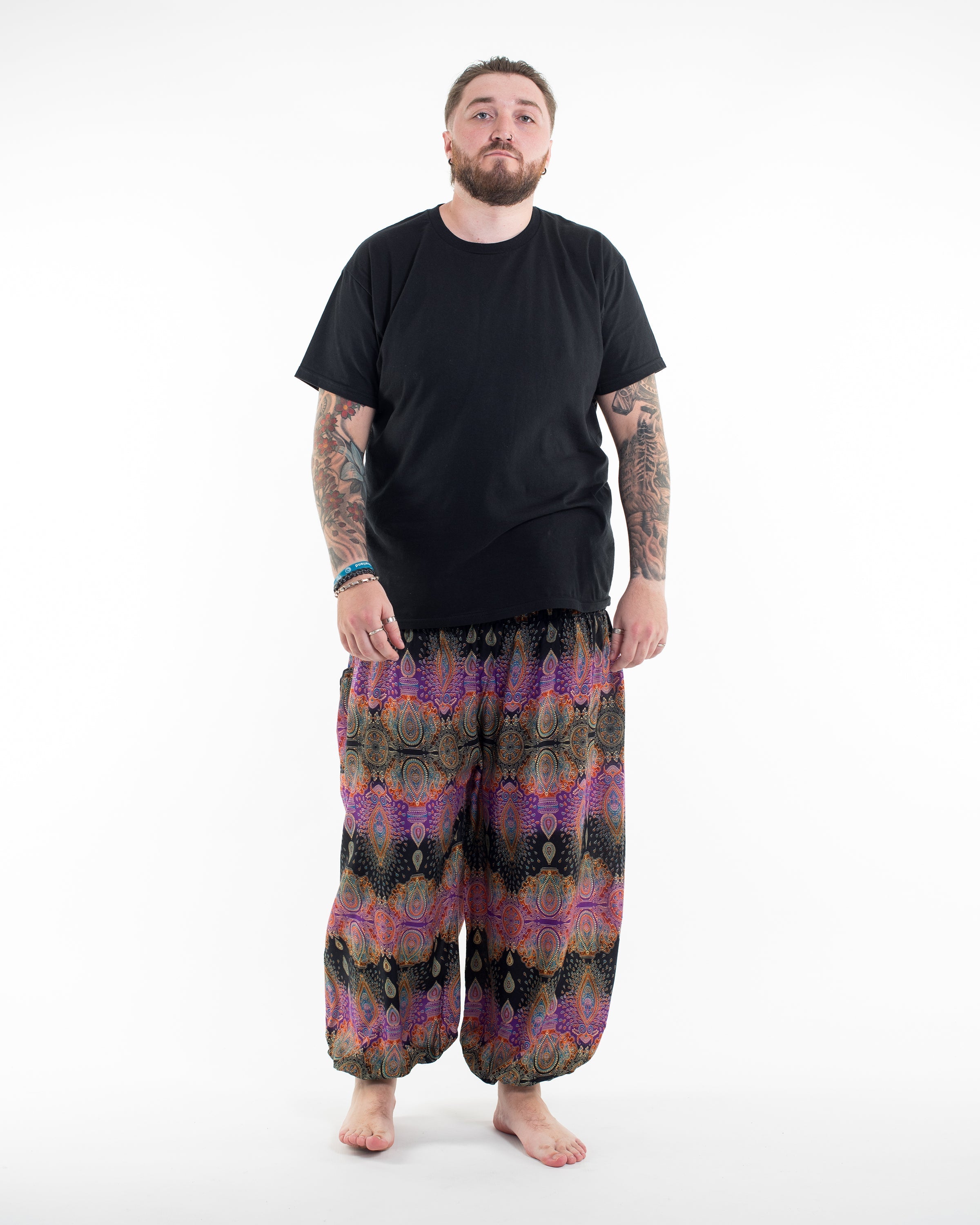 Plus Size Paisley Men's Harem Pants in Purple